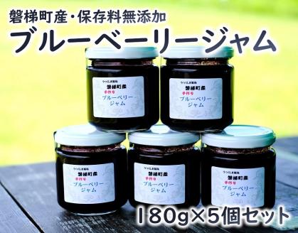 ブルーベリー　ジャムセット　180g×5個