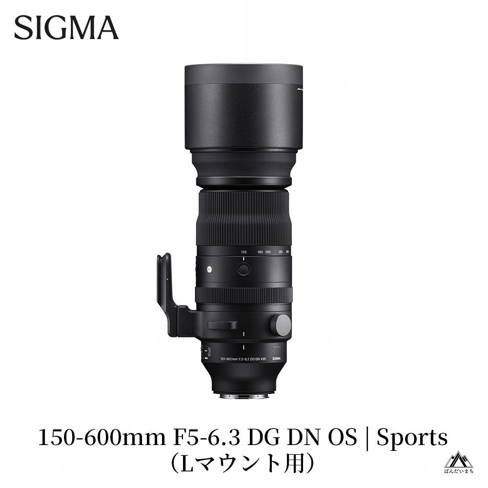 【Lマウント用】SIGMA 150-600mm F5-6.3 DG DN OS | Sports