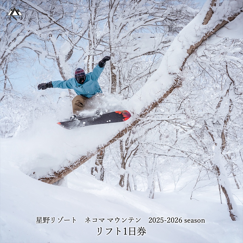 【期間限定】2025-2026シーズン 星野リゾート ネコマ マウンテン　リフト１日券