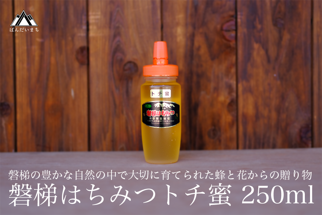 国産純粋はちみつ 天然 磐梯養蜂 磐梯はちみつ 250g[チューブ] トチはちみつ トチみつ トチ蜜 蜂蜜 ハチミツ はちみつ HONEY 国産 無添加 ※2024年8月1日以降順次発送