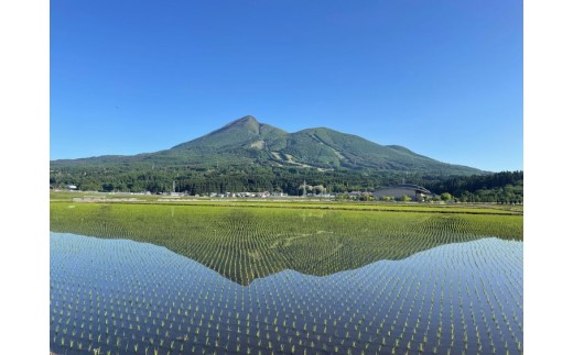 【令和7年度産 新米予約】【数量限定】【6ヵ月定期便】日本一のお米 ゆうだい21 6回×2kg 計12kg 猪苗代町産 白米 2kg 第26回米・食味分析鑑定コンクール国際大会 金賞 日本一獲得 6か月連続 ※2025年10月下旬頃より順次発送予定 ※離島への配送不可