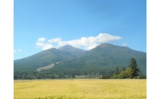 【令和7年度産 新米予約】 米 里山のつぶ 10kg(10kg×1袋) 白米 精米 ※2025年11月下旬頃より順次発送予定 ※沖縄・離島への配送不可