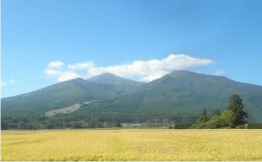 【令和7年度産 新米予約】 米 里山のつぶ 5kg 白米 精米 ※2025年11月下旬頃より順次発送予定 ※沖縄・離島への配送不可