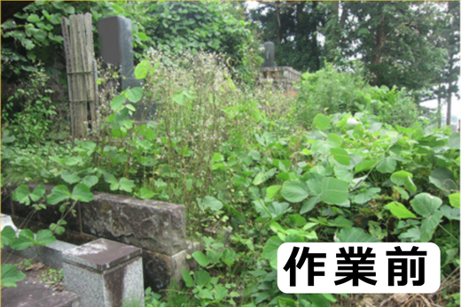 お墓参り・お掃除代行プレミアムプラン