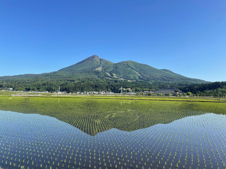 【令和7年度産 新米予約】日本一のお米 ゆうだい21 猪苗代町産 白米 5kg 第26回米・食味分析鑑定コンクール国際大会 金賞 日本一獲得 ※2025年10月下旬頃より順次発送予定 ※離島への配送不可