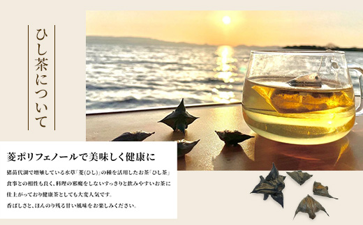 【先行予約】お茶 猪苗代湖産ひし茶(お徳用) ティーバッグ 茶 福島 【令和7度産 新茶 2025年12月上旬発送開始】