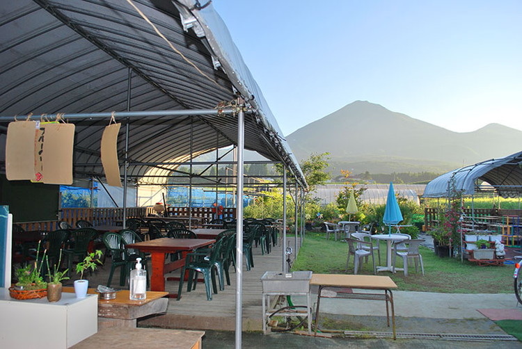 [2025年先行予約］ぶどう シャインマスカット・BKシードレス 詰合せ 種なし 各1房 合計約1kg以上 猪苗代 福島 予約 [№5771-1302] ※2025年9月中旬頃より順次発送予定