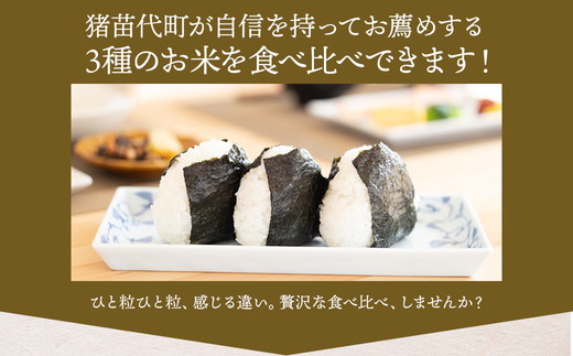 令和7年産 いなわしろブランド米3個セット( 精米 ) 各300g ｜ 新米 お米 白米 真空パック 食べ比べ 福島 和食