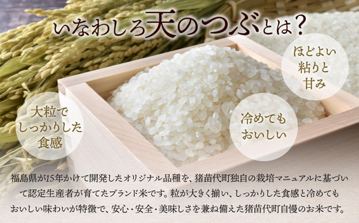 令和7年産 猪苗代町ブランド米 いなわしろ天のつぶ( 精米 ) 2kg ｜ 新米 お米 白米 福島 大粒 寿司 和食
