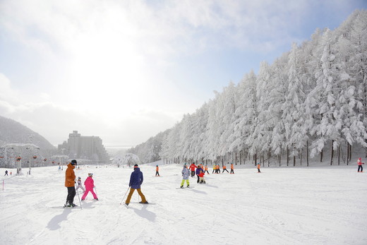 ホテルリステル猪苗代 スキー場 リフトシーズン券（1組につき2名利用可）