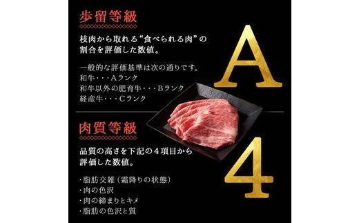 A4等級以上 銘柄福島牛 ランプステーキ 100g×5枚 　※沖縄・離島への配送不可