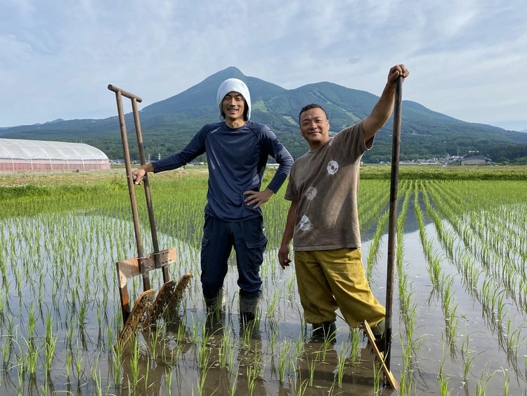 【令和7年度産】 つちや農園 猪苗代町産 玄米 特別栽培米コシヒカリ 10kg（玄米）| お米 米 こしひかり