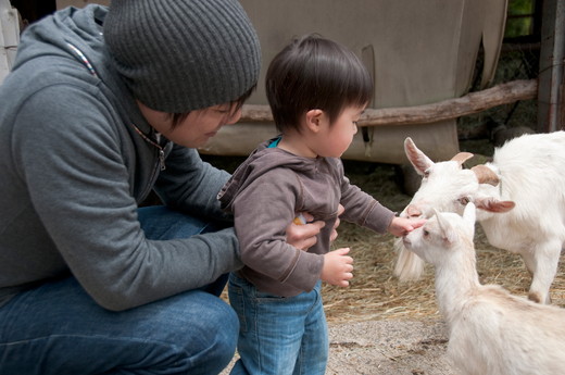 磐梯高原南ヶ丘牧場 牧場体験チケット（6,000円分）