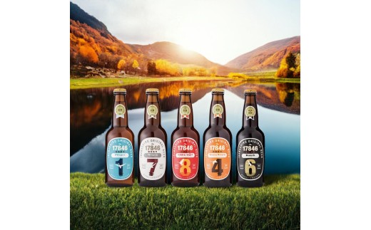 猪苗代地ビール THE17846BEER 330ml 5種類4セット｜ ビール 地ビール クラフトビール 飲み比べ  瓶ビール ピルスナー ヴァイツェン ゴールデンエンジェル ラオホ ブラウンヴァイツェン 17846 330ml セット  磐梯山 天然水 福島県 猪苗代