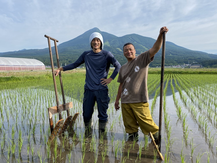 【令和7年度産】 つちや農園 猪苗代町産 特別栽培米コシヒカリ 10kg（精米）| お米 米 こしひかり