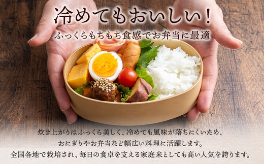 令和7年産 いなわしろブランド米3個セット( 精米 ) 各300g ｜ 新米 お米 白米 真空パック 食べ比べ 福島 和食