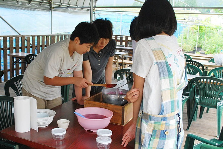 【2026年先行予約】【数量限定】ブルーベリー狩りと手作りジャム＆ピザ焼き体験ファミリープラン（4名様分）