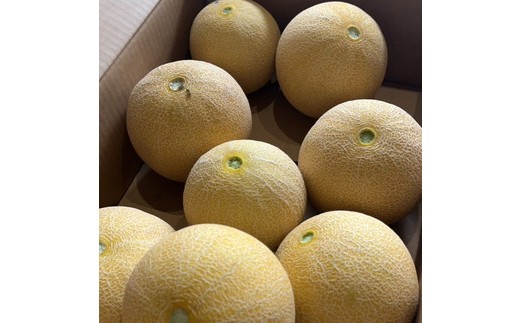 「ころたん」メロン 3kg 2～3個 ※沖縄・離島への配送不可 ※2025年8月上旬～10月中旬頃に順次発送予定
