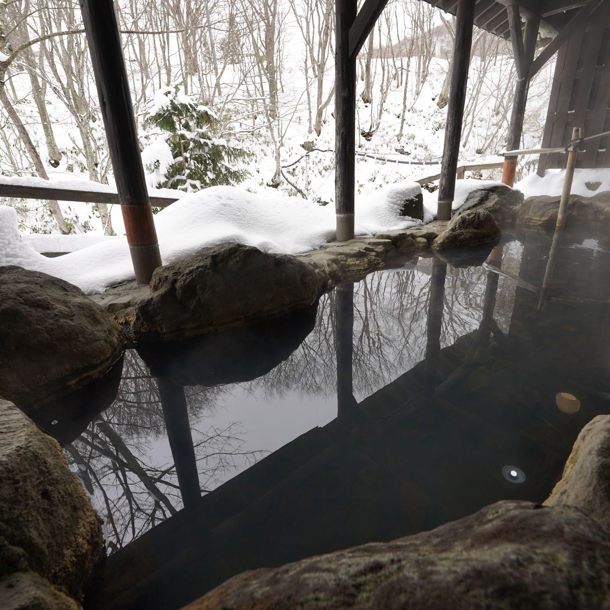 マウント磐梯 1泊2食付 ペア宿泊券 ｜ 旅行 宿泊 旅館 ホテル 温泉 観光 天然温泉 源泉かけ流し 横向温泉 福島県 猪苗代