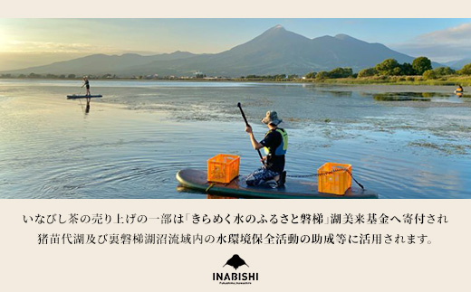 【先行予約】お茶 猪苗代湖産ひし茶(お徳用) ティーバッグ 茶 福島 【令和7度産 新茶 2025年12月上旬発送開始】