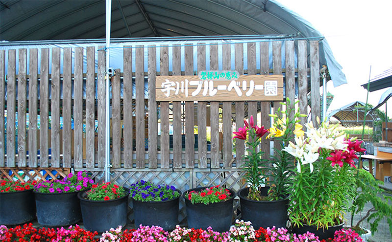 [2025年先行予約］黒にんにく 300g ミネラル栽培 中嶋農法 猪苗代町産 自家製栽培 猪苗代 福島 ※2025年9月中旬頃より順次発送予定