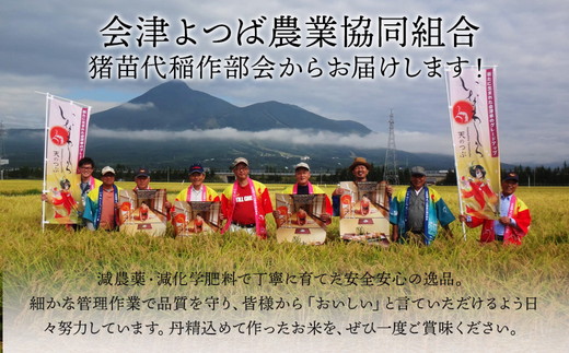 令和7年産 いなわしろブランド米3個セット( 精米 ) 各300g ｜ 新米 お米 白米 真空パック 食べ比べ 福島 和食