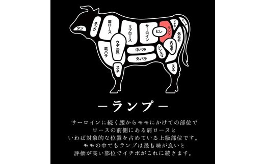 銘柄福島牛 ステーキ食べ比べセット サーロイン&肩ロース 各200g×2枚 ランプ 100g×2枚　※沖縄・離島への配送不可