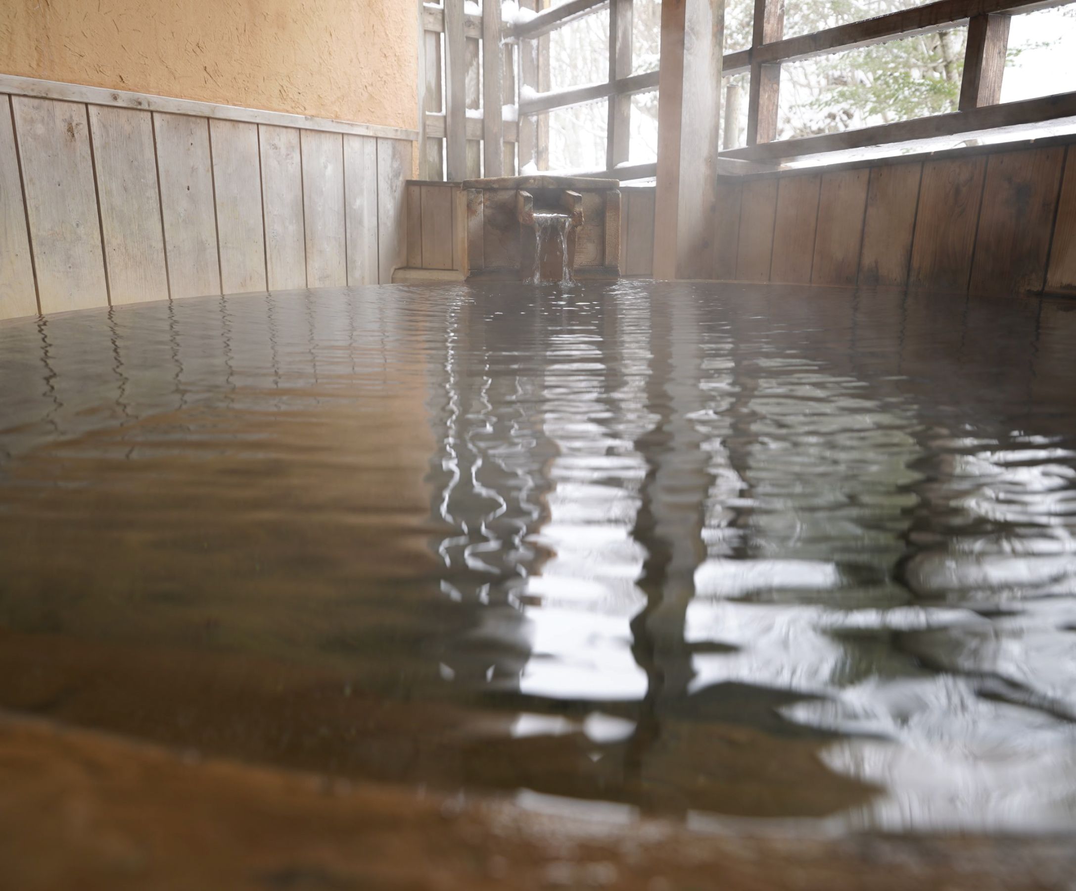 マウント磐梯 1泊2食付 ペア宿泊券 ｜ 旅行 宿泊 旅館 ホテル 温泉 観光 天然温泉 源泉かけ流し 横向温泉 福島県 猪苗代