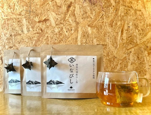 【先行予約】猪苗代湖産 ひし茶 (贈答用) 3パック ティーバッグ 贈答用 茶 福島 【令和7度産 新茶 2025年12月上旬発送開始】