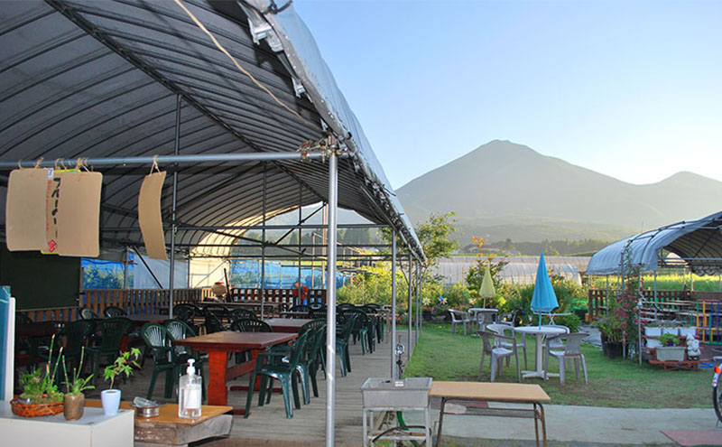 [2025年先行予約］ブルーベリー ブルーベリージャム＆ブルーベリージュースセット ミネラル栽培 中嶋農法 稲苗代町産 自家製栽培 セット ※2025年9月中旬頃より順次発送予定