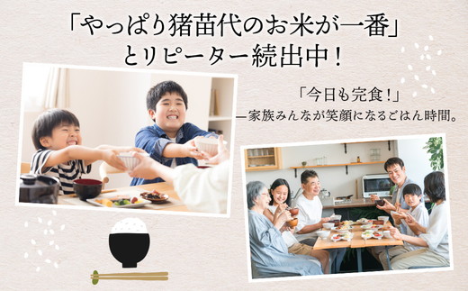  令和7年産 猪苗代町ブランド米 いなわしろ里山のつぶ( 精米 ) 5kg ｜新米 お米 白米 福島 和食