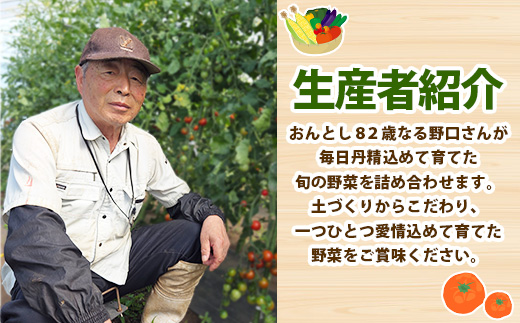 旬の野菜おまかせセット4～6種 80サイズ箱でお届け ｜ 猪苗代産 野菜 新鮮 野菜セット 農家直送 産地直送 詰め合わせ おまかせ ※2025年9月中旬～11月上旬頃に順次発送予定 ※沖縄・離島への配送不可