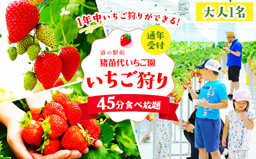 いちご狩り 1年中 「道の駅前 猪苗代 いちご園」 大人1名チケット（中学生以上） ｜ 苺 通年 猪苗代・会津地域