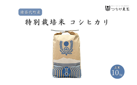 【令和7年度産】 つちや農園 猪苗代町産 玄米 特別栽培米コシヒカリ 10kg（玄米）| お米 米 こしひかり