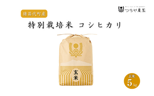 【令和7年度産】 つちや農園 猪苗代町産 玄米 特別栽培米コシヒカリ 5kg（玄米）| お米 米 こしひかり