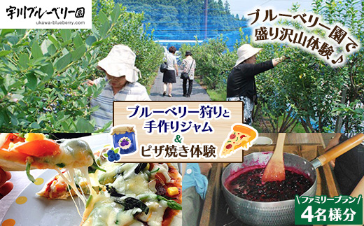 【2026年先行予約】【数量限定】ブルーベリー狩りと手作りジャム＆ピザ焼き体験ファミリープラン（4名様分）
