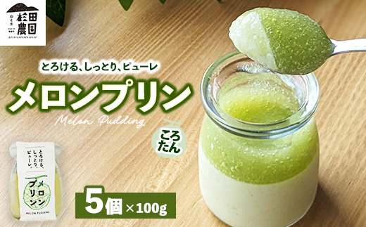 ころたん メロン プリン 5個入 ｜ 冷凍 洋菓子 冷凍 スイーツ デザート お菓子 ※沖縄・離島への配送不可