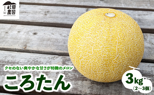 「ころたん」メロン 3kg 2～3個 ※沖縄・離島への配送不可 ※2025年8月上旬～10月中旬頃に順次発送予定