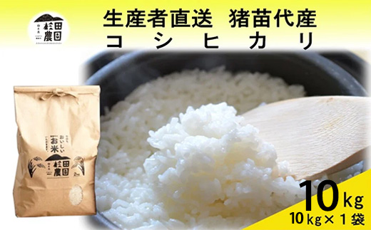 【令和7年度産 新米予約】 米 コシヒカリ 10kg(10kg×1袋) 白米 精米 ※2025年11月下旬頃より順次発送予定 ※沖縄・離島への配送不可