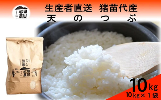 【令和7年度産 新米予約】 米 天のつぶ 10kg(10kg×1袋) 白米 精米 ※2025年11月下旬頃より順次発送予定 ※沖縄・離島への配送不可