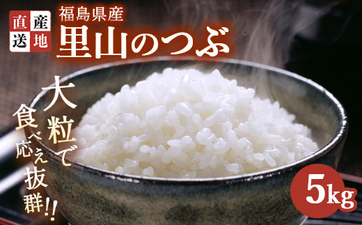 令和7年産 里山のつぶ 5kg ｜ 白米 精米 生産者直送 産地直送 猪苗代産 はんざわエコファーム ※沖縄・離島への配送不可