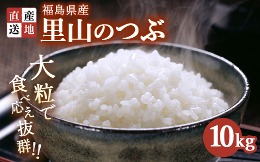 令和7年産 里山のつぶ 10kg ｜ 白米 精米 生産者直送 産地直送 猪苗代産 はんざわエコファーム ※沖縄・離島への配送不可