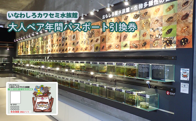 いなわしろカワセミ水族館大人ペア年間パスポート引換券