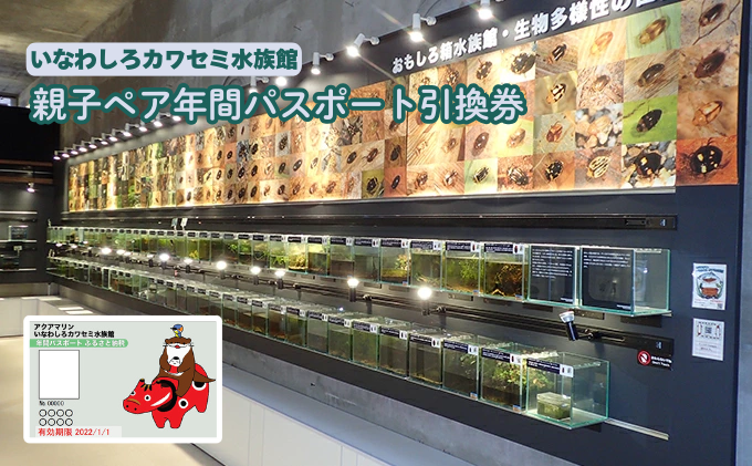 いなわしろカワセミ水族館親子ペア年間パスポート引換券