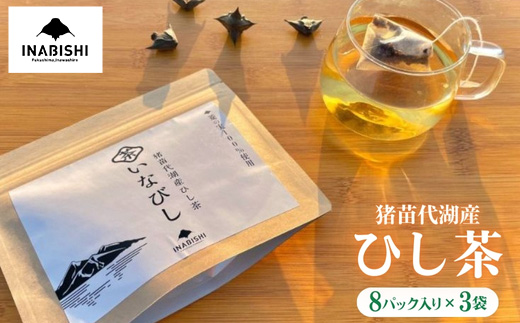 【先行予約】猪苗代湖産 ひし茶 (贈答用) 3パック ティーバッグ 贈答用 茶 福島 【令和7度産 新茶 2025年12月上旬発送開始】