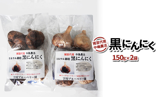 [2025年先行予約］黒にんにく 300g ミネラル栽培 中嶋農法 猪苗代町産 自家製栽培 猪苗代 福島 ※2025年9月中旬頃より順次発送予定