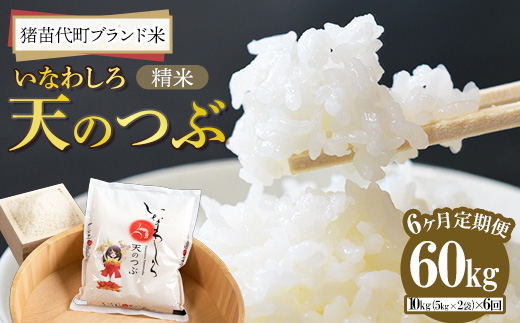 定期便 【6ヵ月連続】令和7年産 猪苗代町ブランド米 いなわしろ天のつぶ 10kg ｜ 新米 米 お米 精米 白米 福島 大粒 寿司 和食