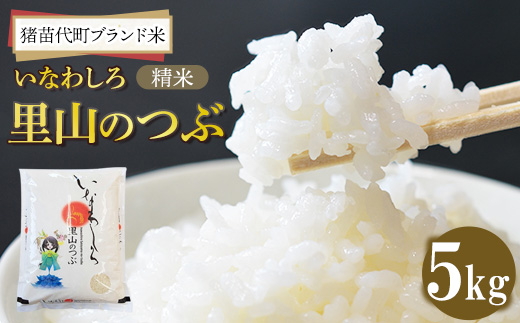  令和7年産 猪苗代町ブランド米 いなわしろ里山のつぶ( 精米 ) 5kg ｜新米 お米 白米 福島 和食