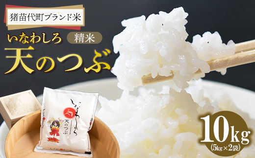 猪苗代町ブランド米 いなわしろ天のつぶ( 精米 ) 10kg お米 白米 福島 大粒 寿司 和食