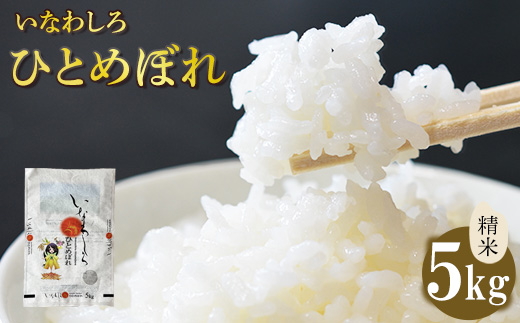 令和7年産 いなわしろひとめぼれ( 精米 ) 5kg ｜ 新米 お米 白米 福島 やわらかい 和食